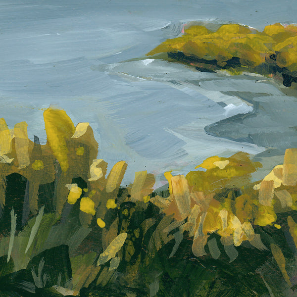 Lupine Lake Art Print