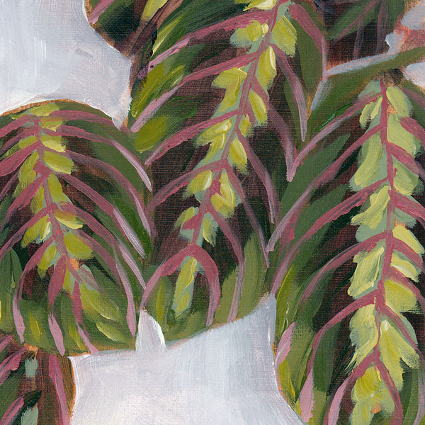 Maranta Art Print