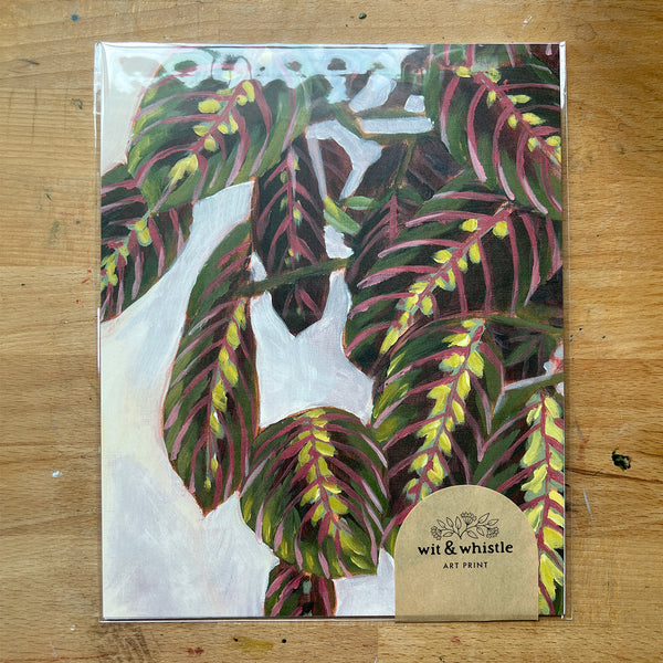 Maranta Art Print