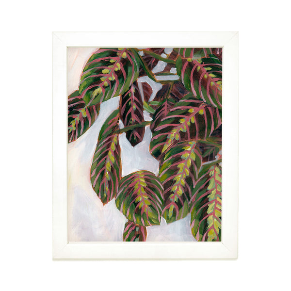 Maranta Art Print