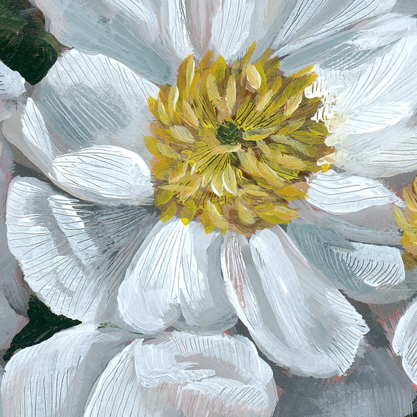 Peonies Art Print