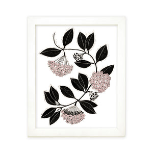 Hoya Carnosa Art Print