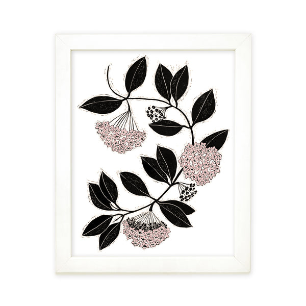 Hoya Carnosa Art Print