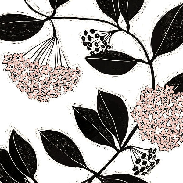 Hoya Carnosa Art Print