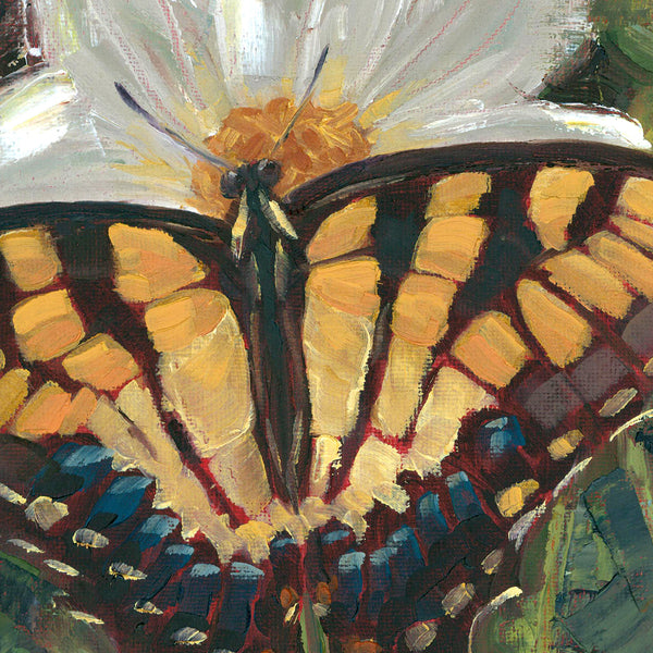 Swallowtail Art Print