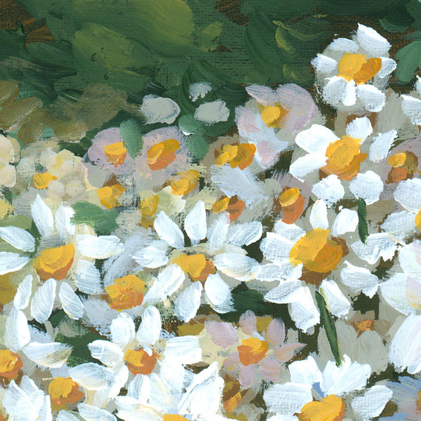 Tansy Flowers Art Print